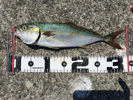 ポーアイ沖渋め